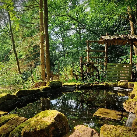 Waldzeit-huette Kaiserslautern